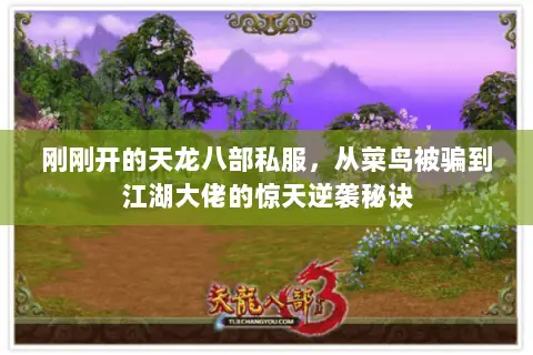 刚刚开的天龙八部私服,从菜鸟被骗到江湖大佬的惊天逆袭秘诀 刚刚开的天龙八部私服,从菜鸟被骗到江湖大佬的惊天逆袭秘诀