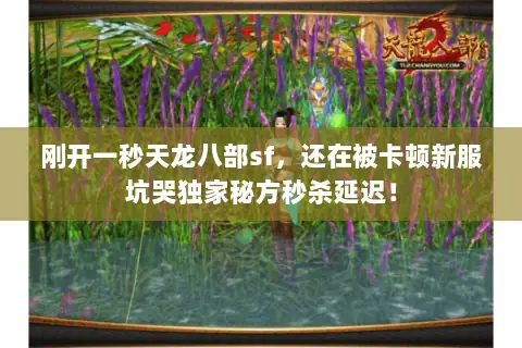 刚开一秒天龙八部sf,还在被卡顿新服坑哭独家秘方秒杀延迟! 刚开一秒天龙八部sf,还在被卡顿新服坑哭独家秘方秒杀延迟!