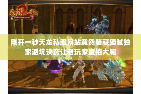 刚开一秒天龙私服网站竟然暗藏猫腻独家避坑诀窍让老玩家直拍大腿