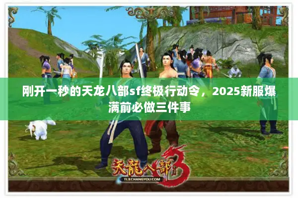 刚开一秒的天龙八部sf终极行动令，2025新服爆满前必做三件事
