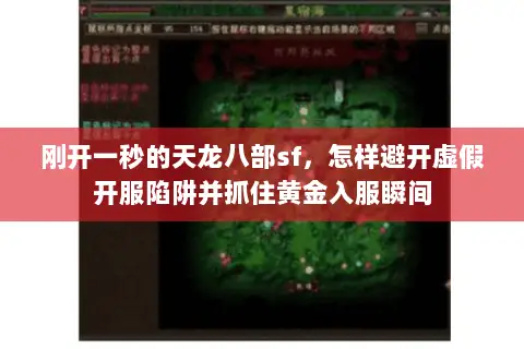 刚开一秒的天龙八部sf,怎样避开虚假开服陷阱并抓住黄金入服瞬间 刚开一秒的天龙八部sf,怎样避开虚假开服陷阱并抓住黄金入服瞬间