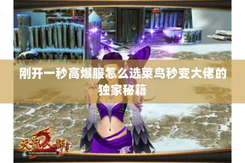 刚开一秒高爆服怎么选菜鸟秒变大佬的独家秘籍 刚开一秒高爆服怎么选菜鸟秒变大佬的独家秘籍