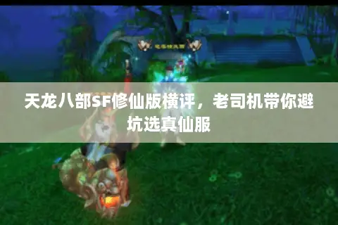 天龙八部SF修仙版横评,老司机带你避坑选真仙服 天龙八部SF修仙版横评,老司机带你避坑选真仙服