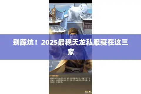 别踩坑!2025最稳天龙私服藏在这三家 别踩坑!2025最稳天龙私服藏在这三家