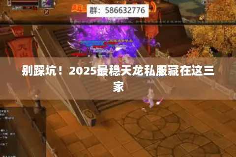别踩坑!2025最稳天龙私服藏在这三家 别踩坑!2025最稳天龙私服藏在这三家