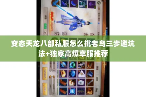 变态天龙八部私服怎么挑老鸟三步避坑法+独家高爆率服推荐