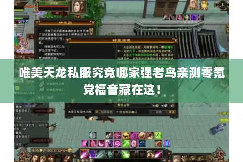 唯美天龙私服究竟哪家强老鸟亲测零氪党福音藏在这！