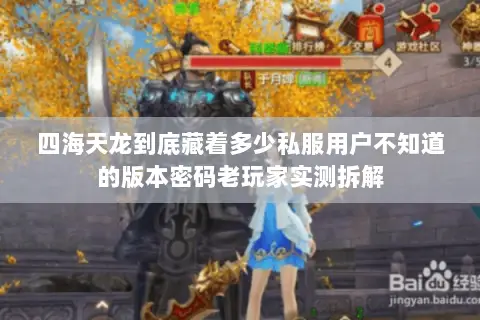 四海天龙到底藏着多少私服用户不知道的版本密码老玩家实测拆解 四海天龙到底藏着多少私服用户不知道的版本密码老玩家实测拆解