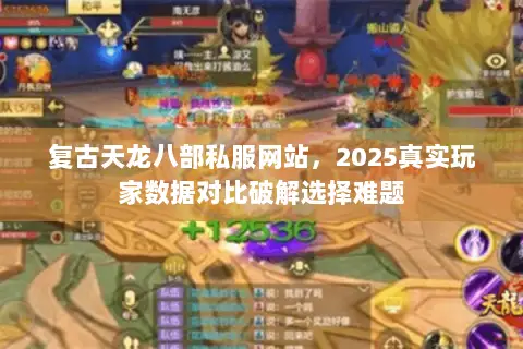 复古天龙八部私服网站,2025真实玩家数据对比破解选择难题 复古天龙八部私服网站,2025真实玩家数据对比破解选择难题