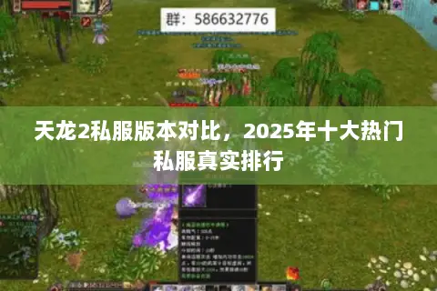 天龙2私服版本对比,2025年十大热门私服真实排行 天龙2私服版本对比,2025年十大热门私服真实排行