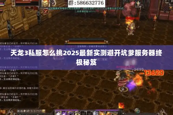 天龙3私服怎么挑2025最新实测避开坑爹服务器终极秘笈 天龙3私服怎么挑2025最新实测避开坑爹服务器终极秘笈