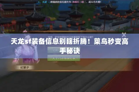 天龙sf装备信息别瞎折腾!菜鸟秒变高手秘诀 天龙sf装备信息别瞎折腾!菜鸟秒变高手秘诀