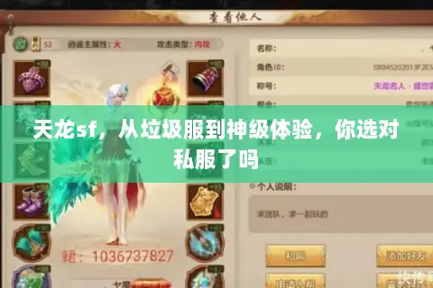 天龙sf，从垃圾服到神级体验，你选对私服了吗
