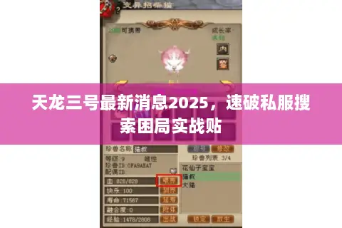 天龙三号最新消息2025,速破私服搜索困局实战贴 天龙三号最新消息2025,速破私服搜索困局实战贴