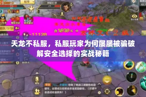 天龙不私服,私服玩家为何屡屡被骗破解安全选择的实战秘籍 天龙不私服,私服玩家为何屡屡被骗破解安全选择的实战秘籍