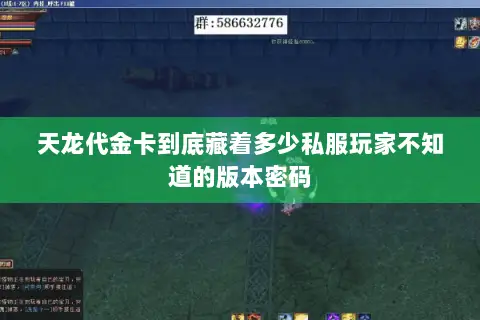 天龙代金卡到底藏着多少私服玩家不知道的版本密码 天龙代金卡到底藏着多少私服玩家不知道的版本密码