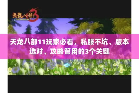天龙八部11玩家必看,私服不坑、版本选对、攻略管用的3个关键 天龙八部11玩家必看,私服不坑、版本选对、攻略管用的3个关键