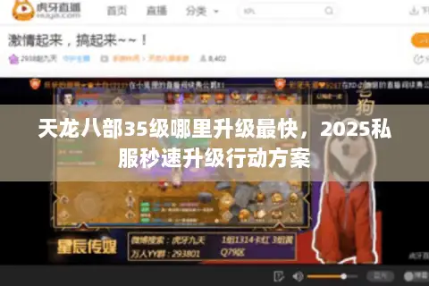 天龙八部35级哪里升级最快，2025私服秒速升级行动方案