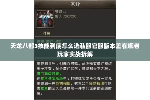 天龙八部3技能到底怎么选私服官服版本差在哪老玩家实战拆解