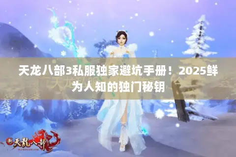 天龙八部3私服独家避坑手册！2025鲜为人知的独门秘钥