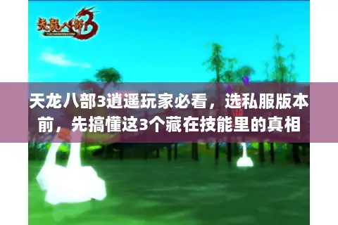 天龙八部3逍遥玩家必看,选私服版本前,先搞懂这3个藏在技能里的真相 天龙八部3逍遥玩家必看,选私服版本前,先搞懂这3个藏在技能里的真相