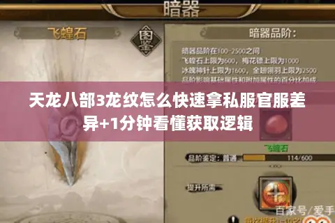 天龙八部3龙纹怎么快速拿私服官服差异+1分钟看懂获取逻辑 天龙八部3龙纹怎么快速拿私服官服差异+1分钟看懂获取逻辑