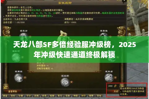 天龙八部SF多倍经验服冲级榜，2025年冲级快速通道终极解锁