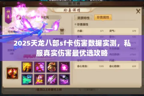 2025天龙八部sf卡伤害数据实测，私服真实伤害最优选攻略