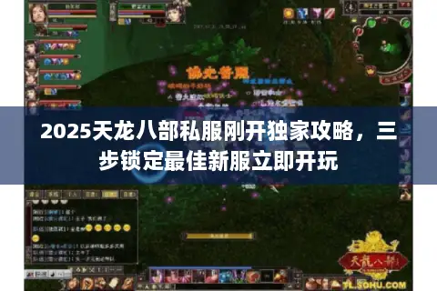 2025天龙八部私服刚开独家攻略,三步锁定最佳新服立即开玩 2025天龙八部私服刚开独家攻略,三步锁定最佳新服立即开玩
