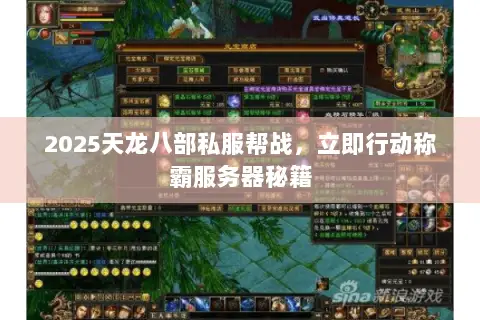 2025天龙八部私服帮战，立即行动称霸服务器秘籍