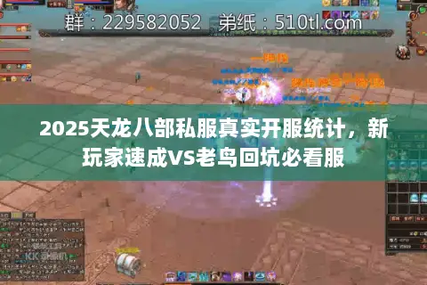 2025天龙八部私服真实开服统计，新玩家速成VS老鸟回坑必看服