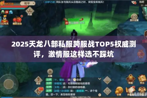 2025天龙八部私服跨服战TOP5权威测评,激情服这样选不踩坑 2025天龙八部私服跨服战TOP5权威测评,激情服这样选不踩坑
