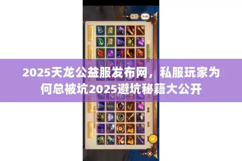 2025天龙公益服发布网，私服玩家为何总被坑2025避坑秘籍大公开