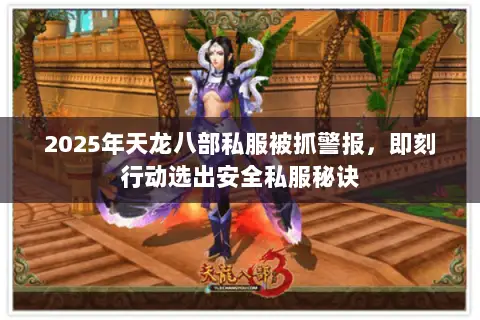 2025年天龙八部私服被抓警报，即刻行动选出安全私服秘诀