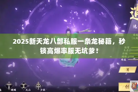 2025新天龙八部私服一条龙秘籍，秒锁高爆率服无坑爹！