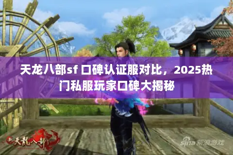 天龙八部sf 口碑认证服对比,2025热门私服玩家口碑大揭秘 天龙八部sf 口碑认证服对比,2025热门私服玩家口碑大揭秘
