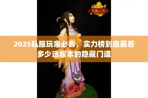 2025私服玩家必看，实力榜到底藏着多少选版本的隐藏门道