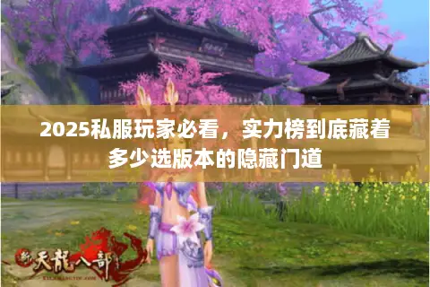 2025私服玩家必看，实力榜到底藏着多少选版本的隐藏门道