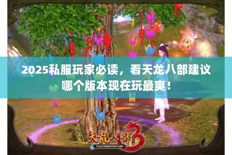 2025私服玩家必读,看天龙八部建议哪个版本现在玩最爽! 2025私服玩家必读,看天龙八部建议哪个版本现在玩最爽!