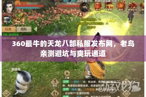 360最牛的天龙八部私服发布网，老鸟亲测避坑与爽玩通道