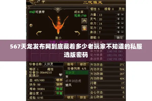 567天龙发布网到底藏着多少老玩家不知道的私服选版密码 567天龙发布网到底藏着多少老玩家不知道的私服选版密码