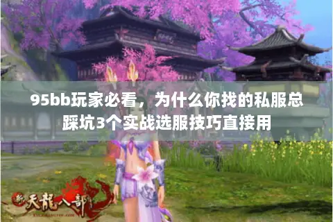 95bb玩家必看，为什么你找的私服总踩坑3个实战选服技巧直接用