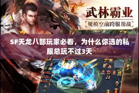 SF天龙八部玩家必看,为什么你选的私服总玩不过3天 SF天龙八部玩家必看,为什么你选的私服总玩不过3天