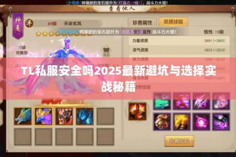 TL私服安全吗2025最新避坑与选择实战秘籍