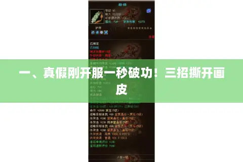 一、真假刚开服一秒破功！三招撕开画皮