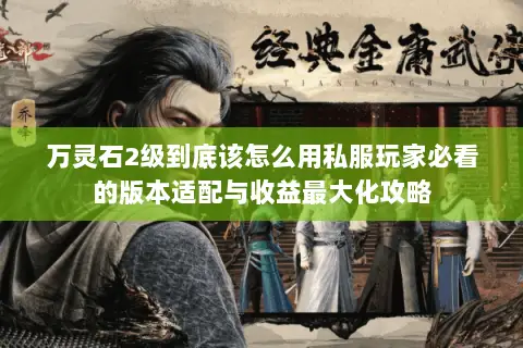 万灵石2级到底该怎么用私服玩家必看的版本适配与收益最大化攻略 万灵石2级到底该怎么用私服玩家必看的版本适配与收益最大化攻略
