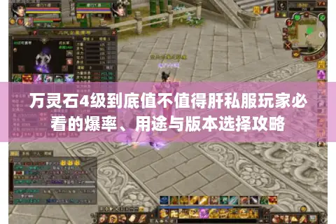 万灵石4级到底值不值得肝私服玩家必看的爆率、用途与版本选择攻略 万灵石4级到底值不值得肝私服玩家必看的爆率、用途与版本选择攻略
