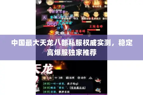 中国最大天龙八部私服权威实测,稳定高爆服独家推荐 中国最大天龙八部私服权威实测,稳定高爆服独家推荐