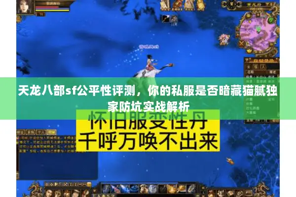 天龙八部sf公平性评测，你的私服是否暗藏猫腻独家防坑实战解析