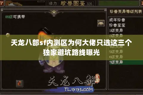 天龙八部sf内测区为何大佬只选这三个独家避坑路线曝光 天龙八部sf内测区为何大佬只选这三个独家避坑路线曝光